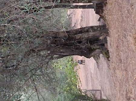 Cherche Étudiante agréable