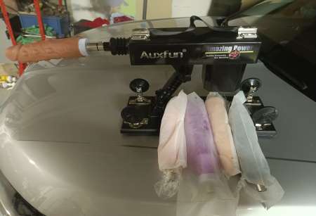 Venez la dompter et repartez avec....