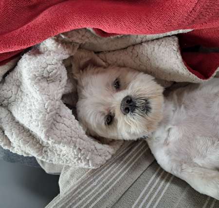 Rencontre culottes fétiches