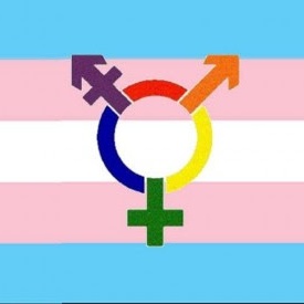 Homme gay cherche sexfriend ftm