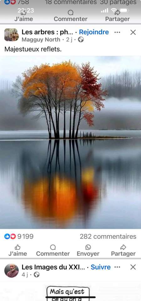 Pour un moment d'évasion