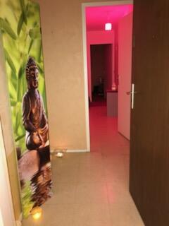 Massage naturiste tantra — photo 4