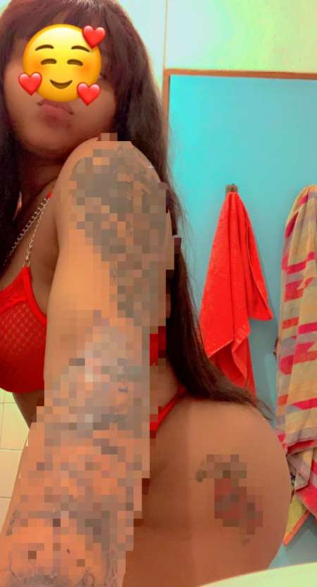 Linda mascota amable