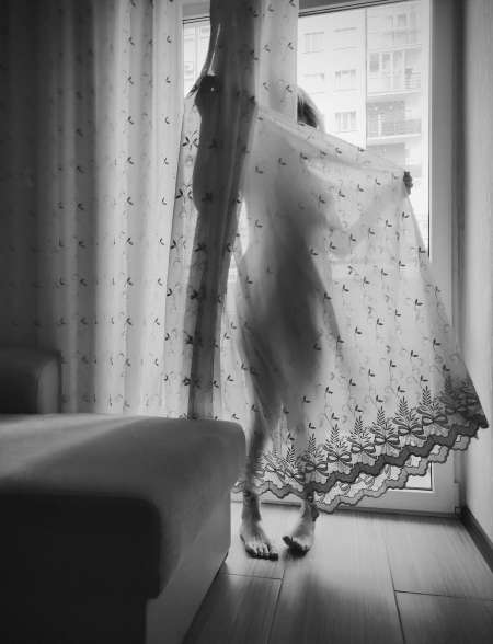 ; TRÈS SENSUELLE &amp; ÉLÉGANTE — photo 3