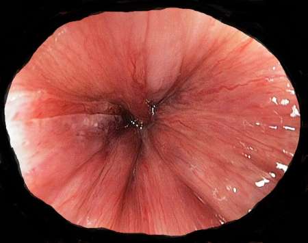 Qui de Très Bien Monté pour me Dépuceler un Hétéro