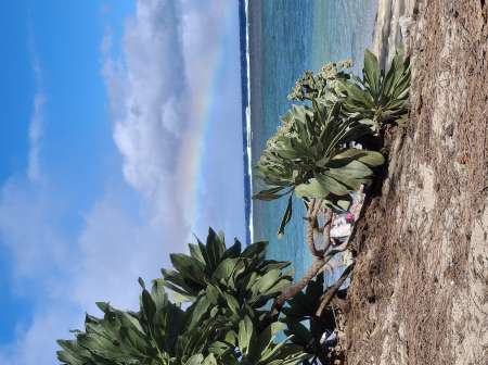 F rech relation sérieuse authentique