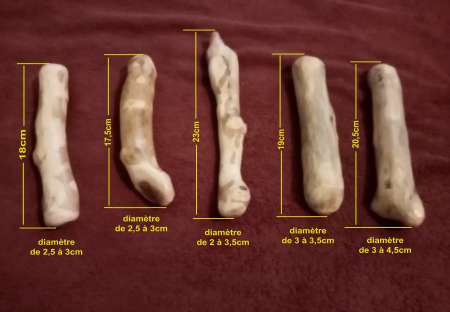 Sextoy artisanal en bois naturet — photo 3