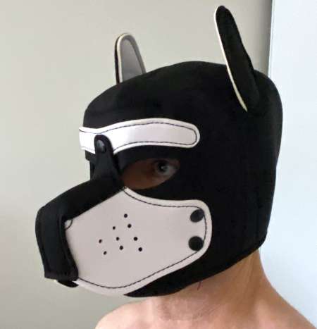 Masque de chien pour jeu BDSM