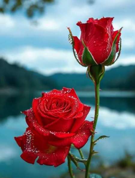 Du plaisir rien que du plaisir — photo 3