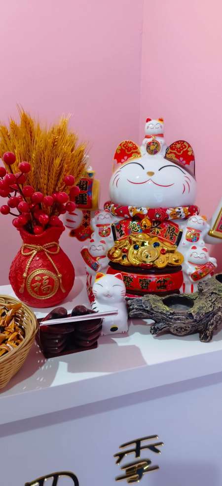 Que massage traditionnel chinois et epilation — photo 4