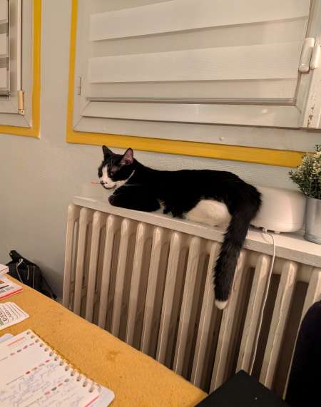 Recherche money slave ou plan dab sur Paris