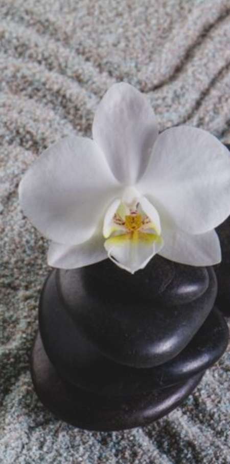 Masseur pour H (bien être)