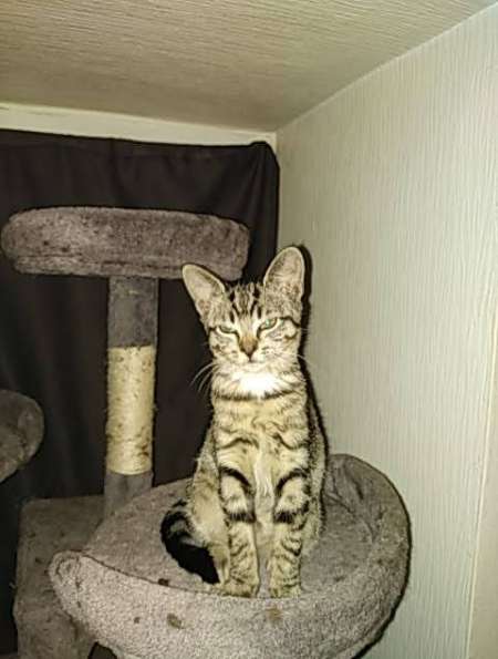 Recherche d une coquine sans tabous non venale