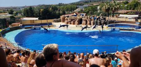 Rencontre sans lendemain