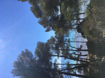 Homme métro, cherche compagne