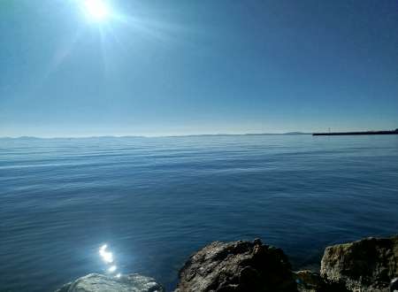 Lèche les pieds, cunnilingus et anulingus. — photo 1