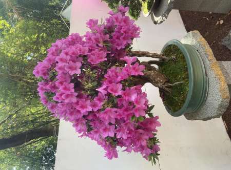 Couple la 30aine métisse cherche une fille