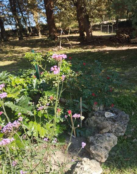 Serviteur pour dames de tout âge