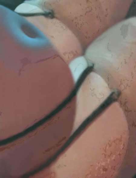 Trav dodu genre femme grossesse 5 mois ~ — photo 9