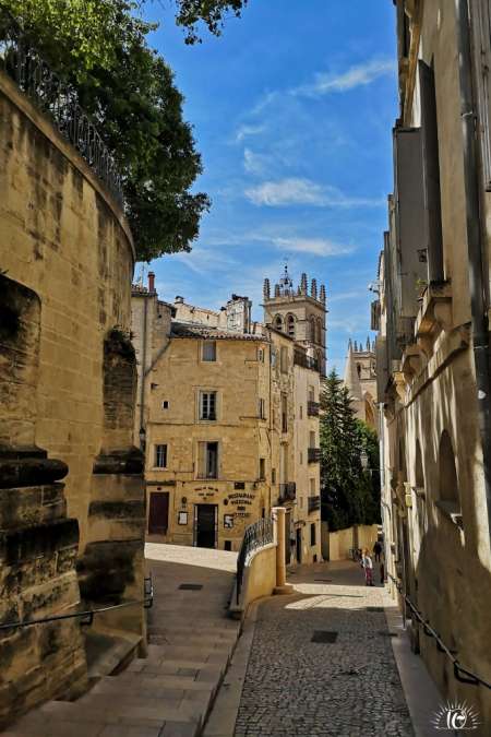 Racontre discrète sur Montpellier H4F
