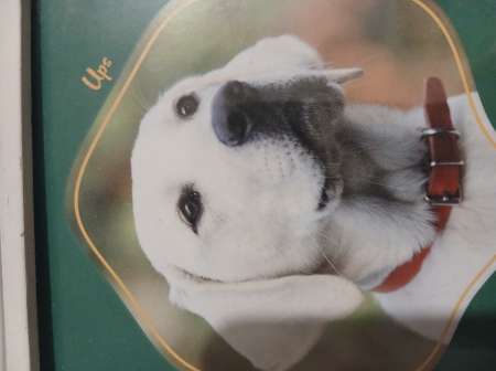 Recherche femme dominatrice je souhaite etre la fi