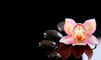 Massage adapté à vos besoins dans un cadre zen — photo 2