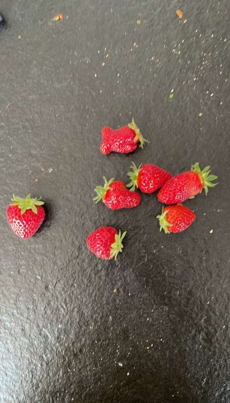 Recherche accompagnatrice de charme