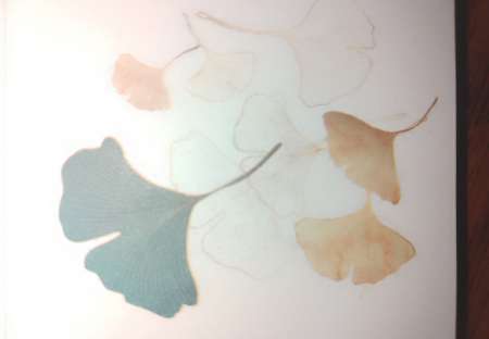 Homme rech une femme pour rencontre en journée