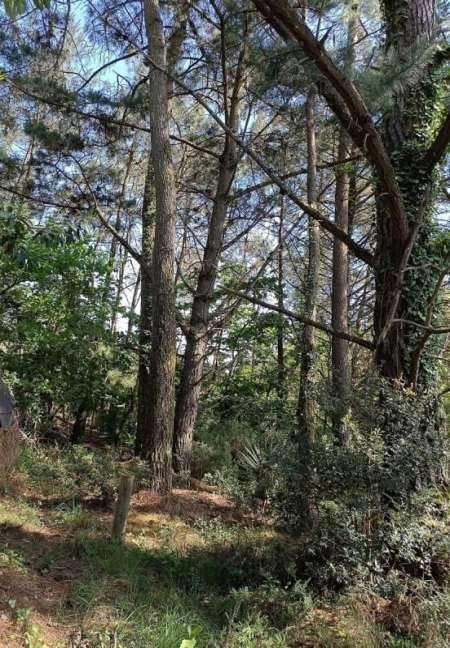 Jardinier cherche sa fessée avec terrain — photo 5