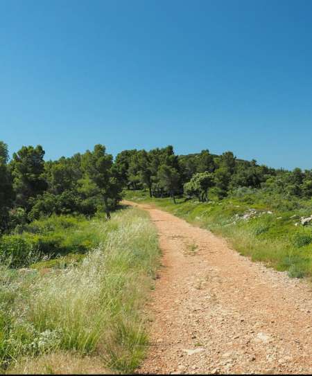Bi mur suce senior coquin dans la nature